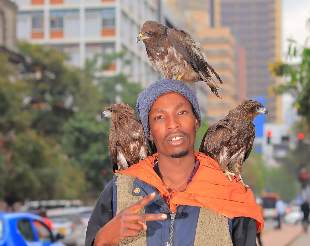 Nairobi Birdman